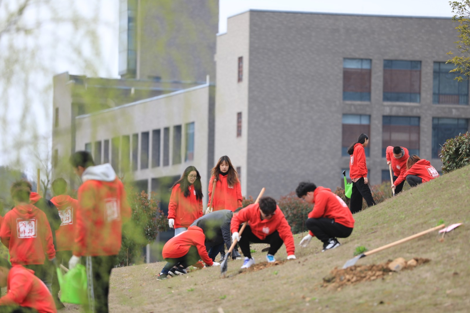 1616053303507912.jpg 1616053303507912.jpg