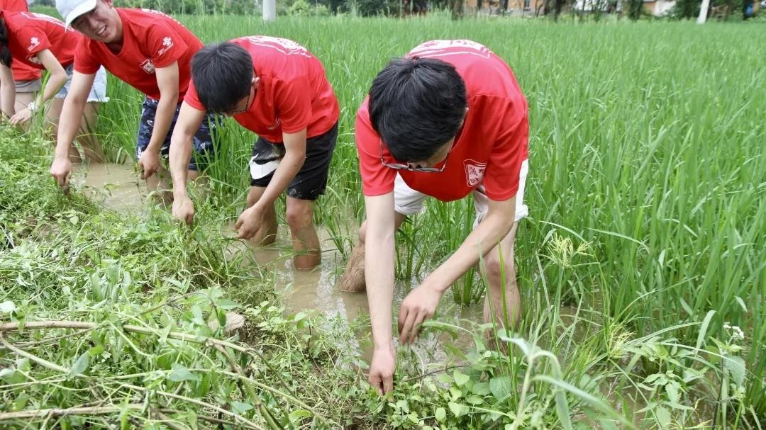 1622117950713868.jpg 1622117950713868.jpg